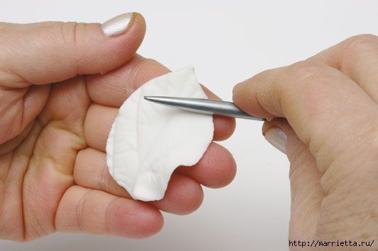 rosa-porcelana-fria-19