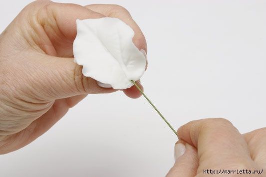 rosa-porcelana-fria-20