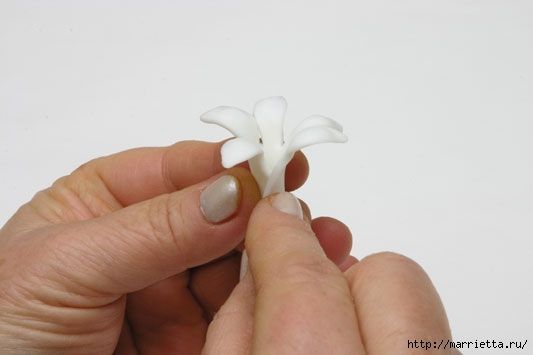 rosa-porcelana-fria-27