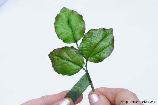 rosa-porcelana-fria-33