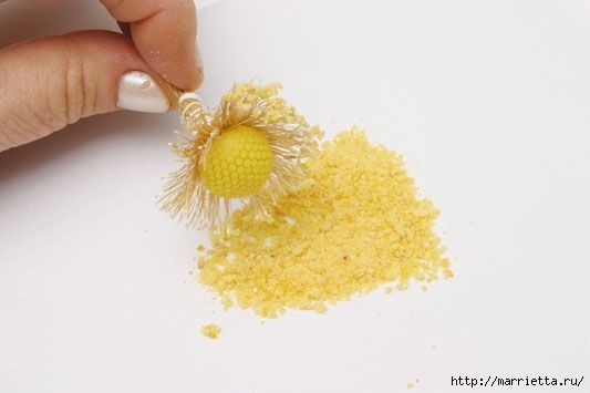 rosa-porcelana-fria-5