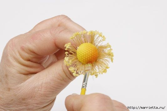 rosa-porcelana-fria-6