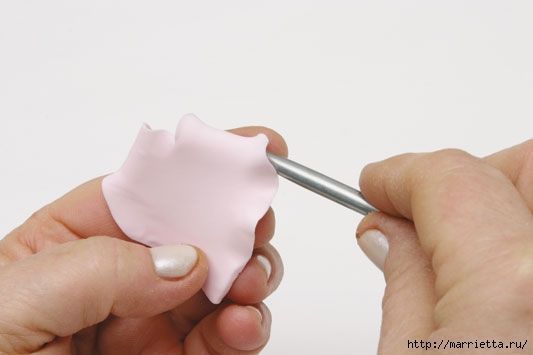 rosa-porcelana-fria-9