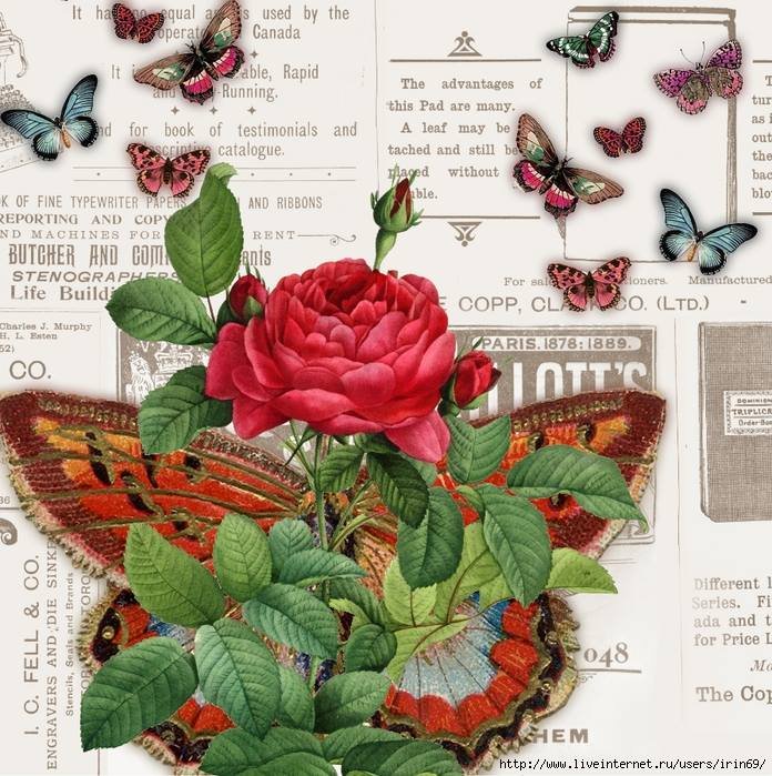 laminas-flores-decoupage-10