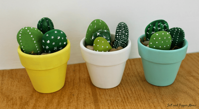 DIY Cactus con piedras