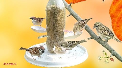 DIY comedero para pájaros reciclando materiales